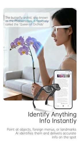 AI Smart Glasses - Real Time Translation Voice Assistant