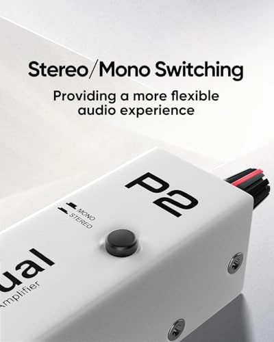 P2 - Personal Headphone Amp