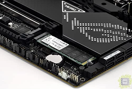 TS500GMTE110Q - 500 GB M.2