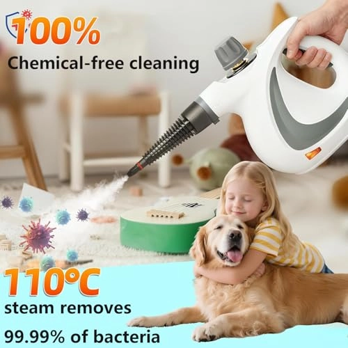 Steam Cleaner - 350 Milliliters
