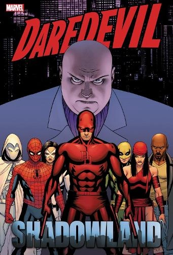 Marvel Comics Daredevil: Shadowland Omnibus Cassaday Cover
