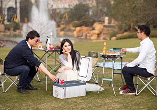 mini portable refrigerator - digital thermostat dual-use