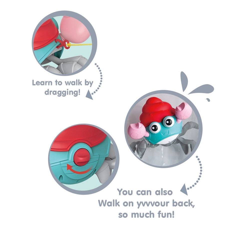 Send Companion In Water - 3 + Multi Colour