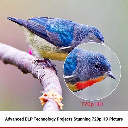 Capsule II D2421 200 ANSI Lumen