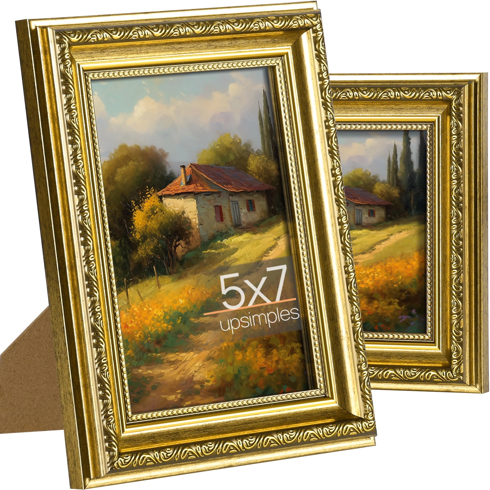 Ornate Frame - 5x7 Pack