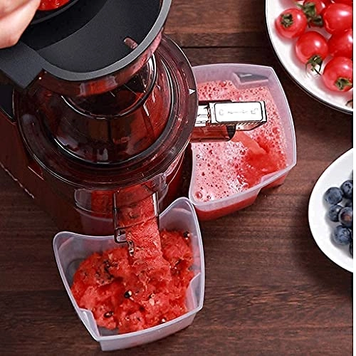 Masticating Juicer - 150 Watts 1500 Milliliters