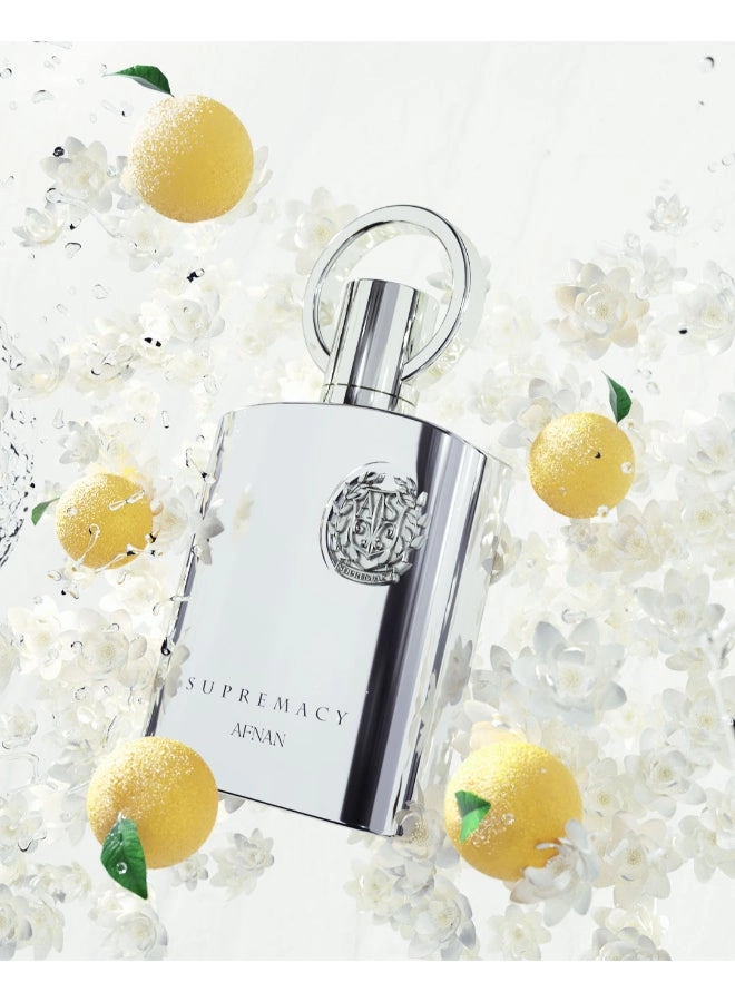 Supremacy Silver Pour Homme Eau de Parfum 100 ml
