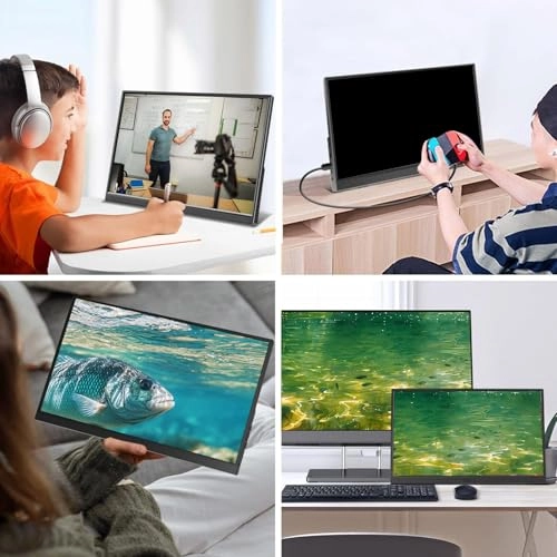 Portable Monitor - 1920x1200 14Inch