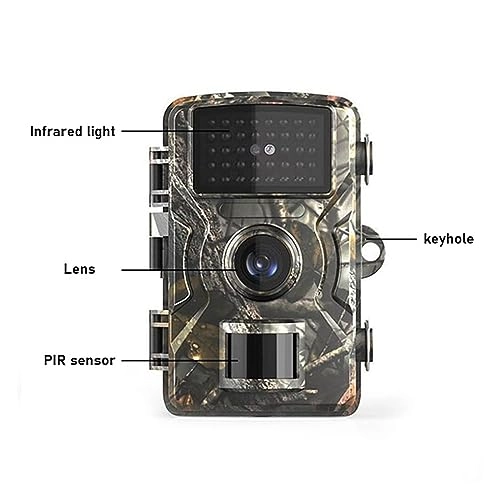 Wildlife HD Hunting Rear Camera - 16MP