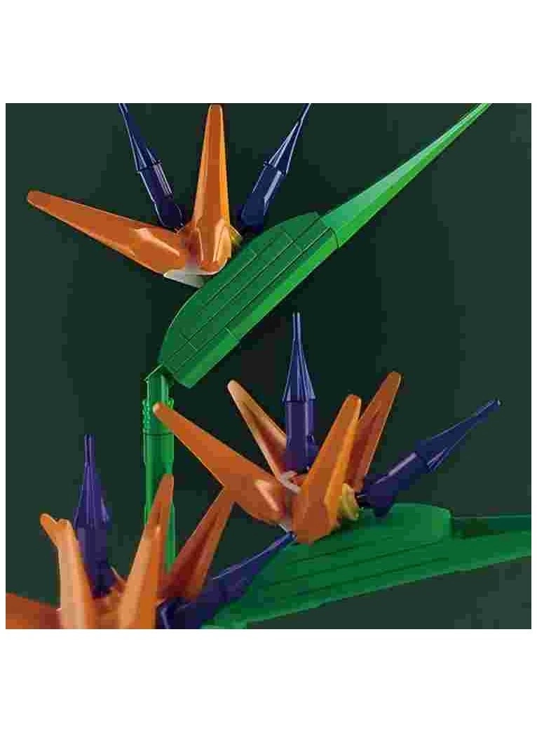 Birds of Paradise flower arrangement (10024)