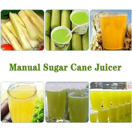 Sugarcane Juicer