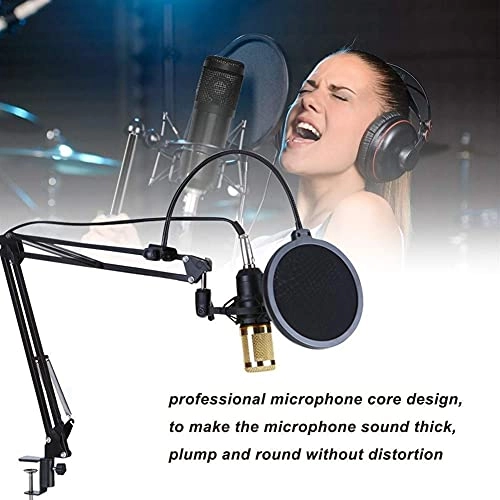 8559899 USB Microphone Set