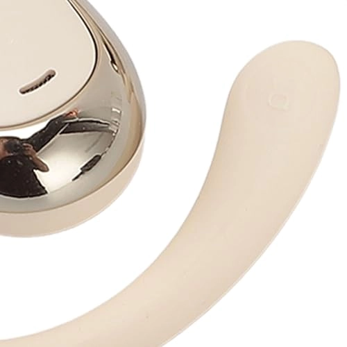 Ear Hook Earbuds - Wireless Earbud