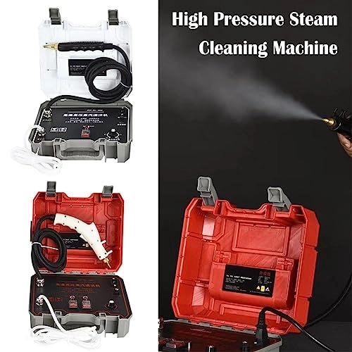 Steam Cleaner - 1L