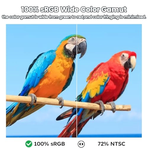 Portable Monitor - 10.5 Inch 1920x1280 IPS