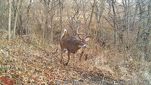 Scrapeline - 18 megapixel Bundle