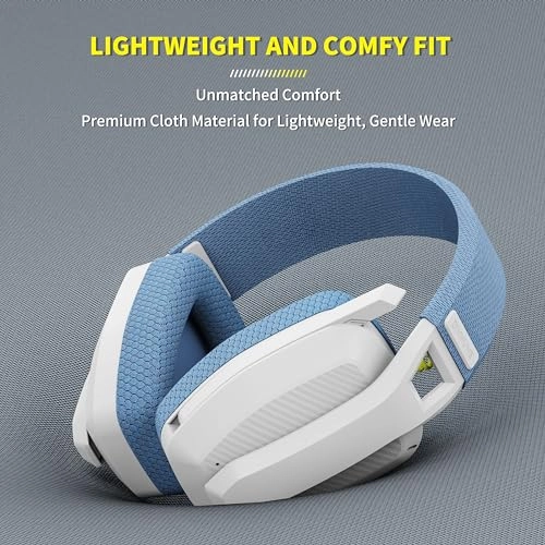 BW02-BT Wireless Headset