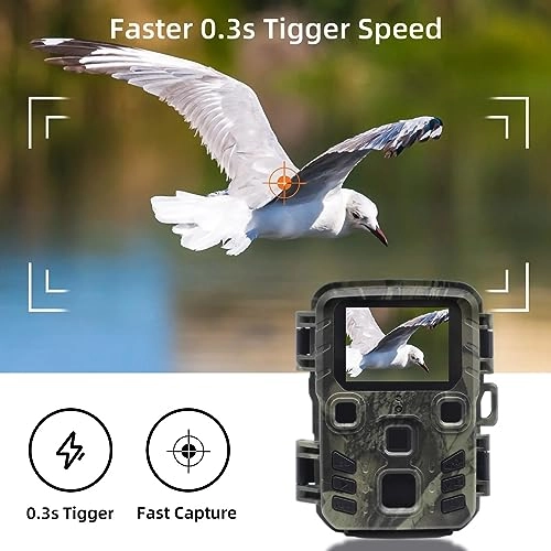 Wildlife Camera - 20MP