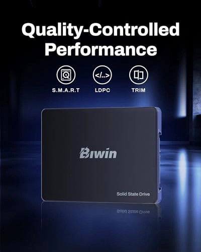 M100 - 256GB 2.5-inch