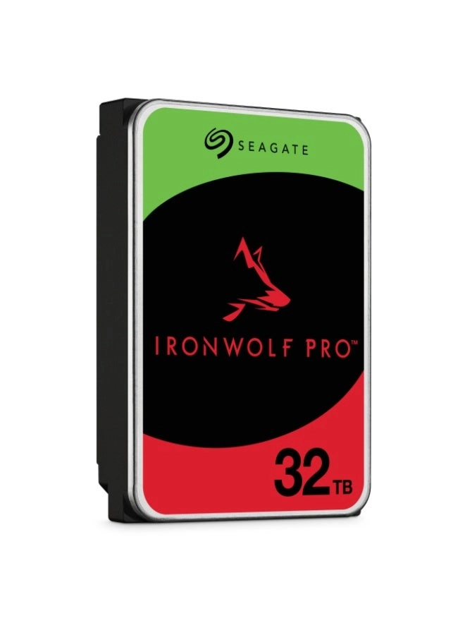 IronWolf Pro 1-Bay 32TB