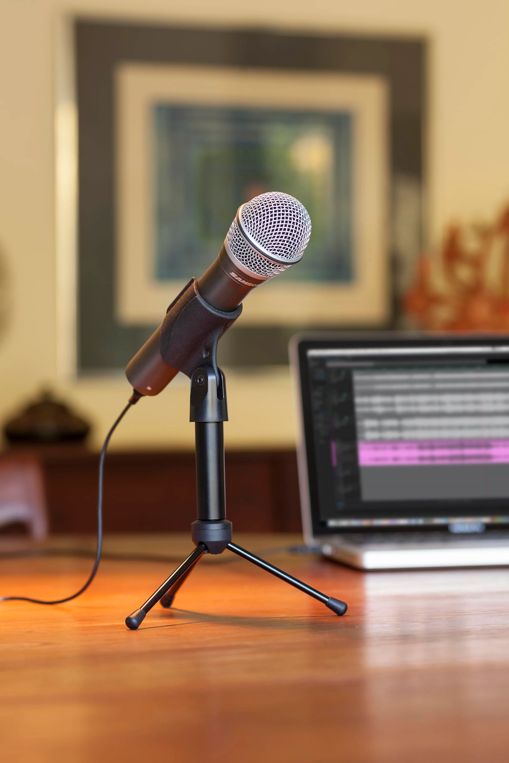 Q2U USB+XLR Microphone + ASVS4B + USB 2.0 A Male to A Female Extension Cable + Cleaning Cloth