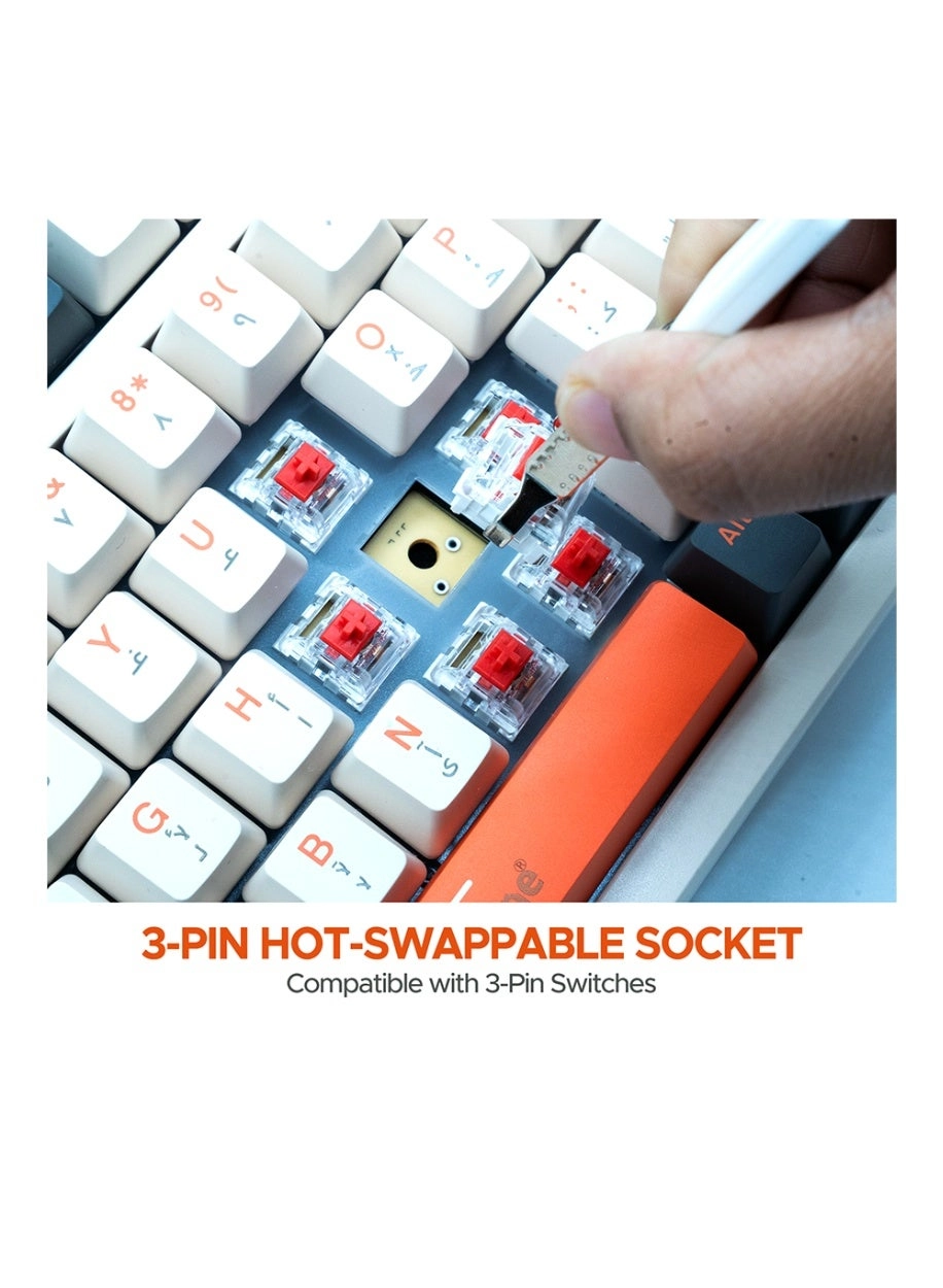 BK-035 - EN/AR Wireless