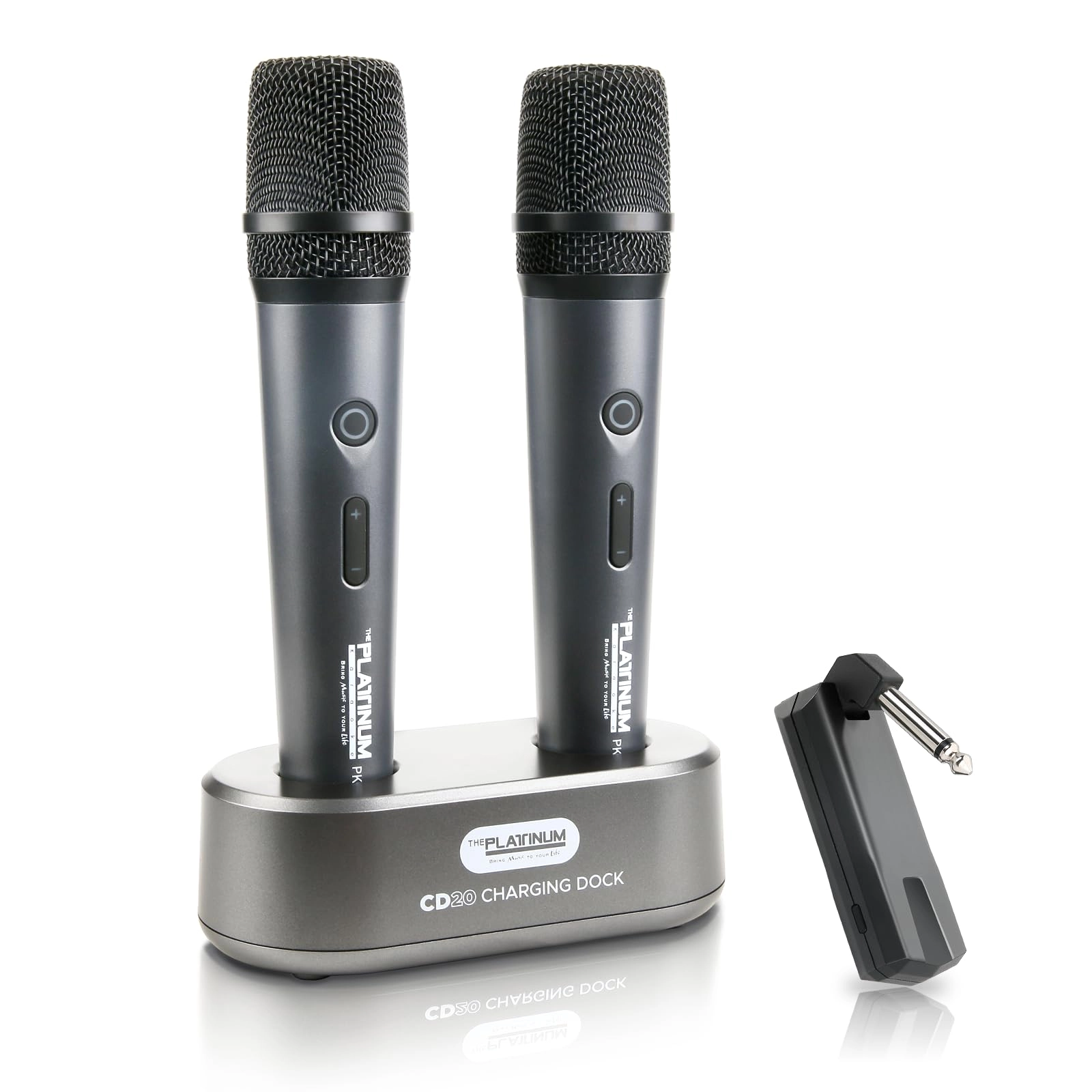 THE PLATINUM MIC-002