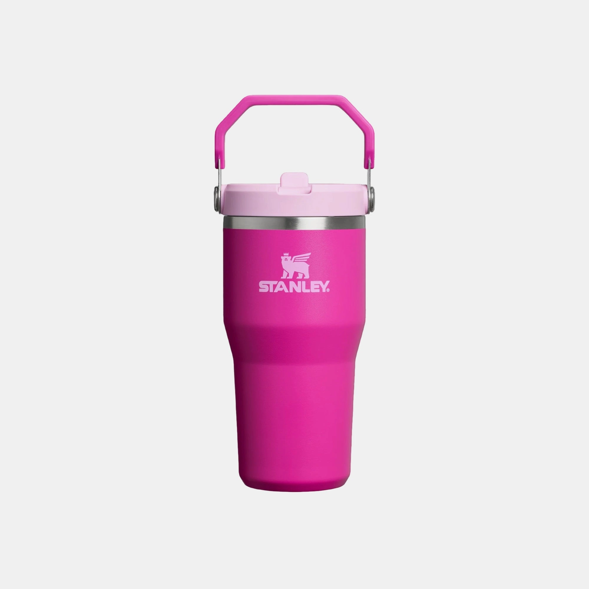 Stainless Steel Iceflow Flip Straw 2.0 Tumbler - 600ml