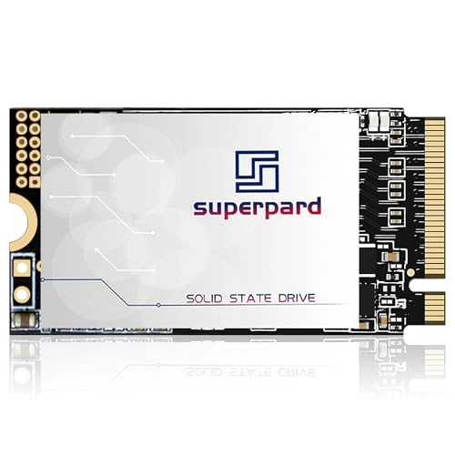 SSD - 256 GB M.2 2242 NVMe