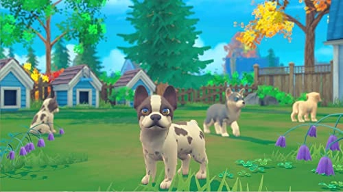 My Universe [Pets Edition] | Nintendo Switch