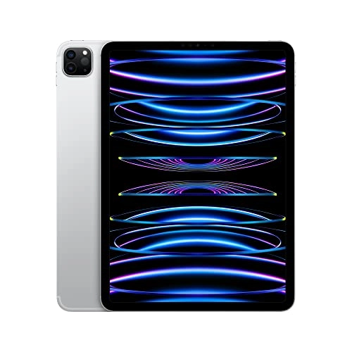 iPad Pro (2022) - 2048GB 11"