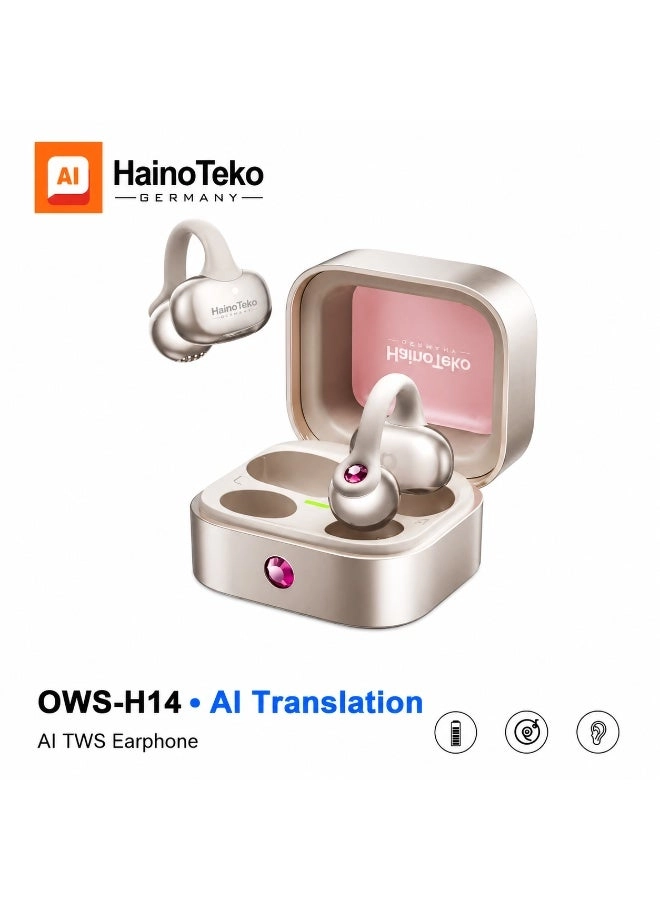 Haino Teko OWS-H14 Wireless Earbud
