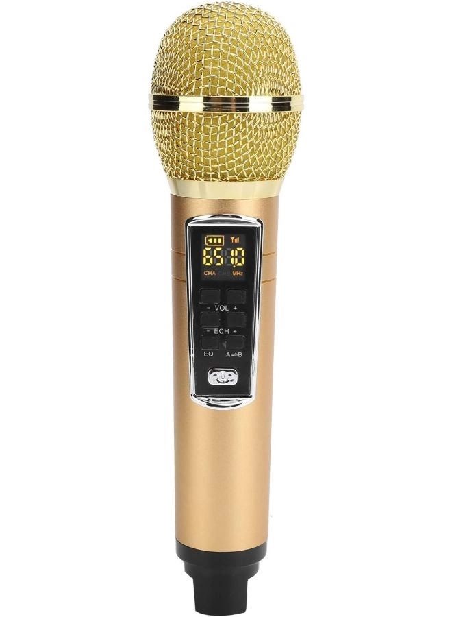 MASP16 - 2 Microphone 15W