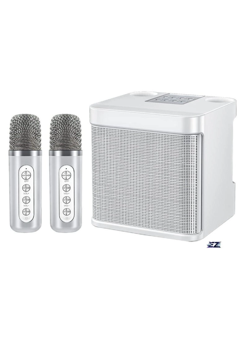 YS-203 - 2 wireless microphones