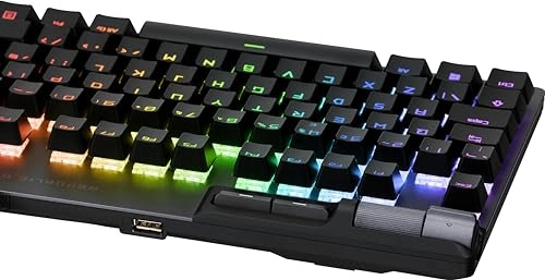 ROG Strix Flare II Animate - DE Wired