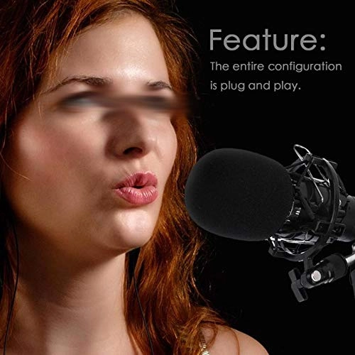 KTV Studio Microphone XLR Microphone