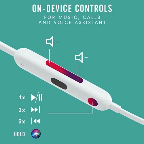 Flex Wireless Earphones
