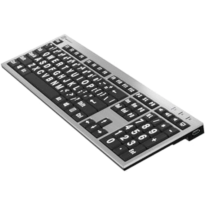 LARGE PRINT BACKLIT KEYBOARD