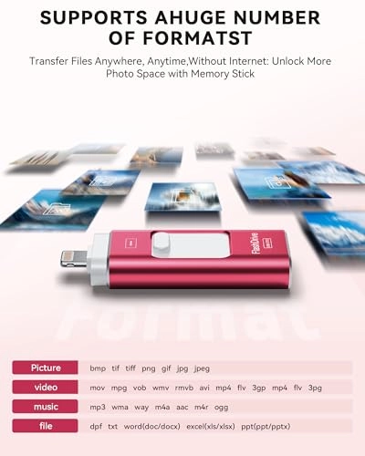 RSE2506 - Lightning Type-C micro USB USB-A 256GB