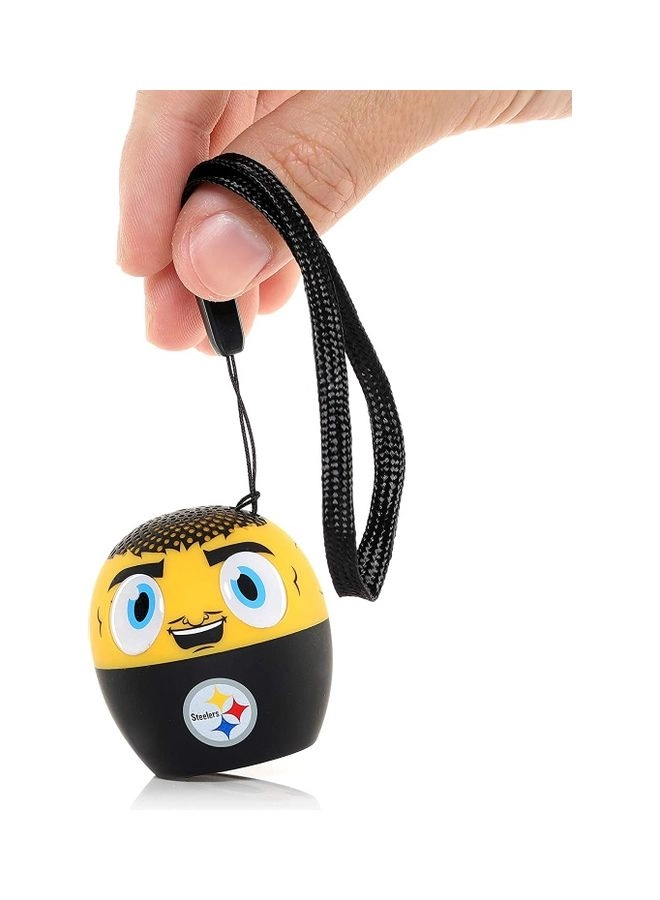 Pittsburgh Steelers