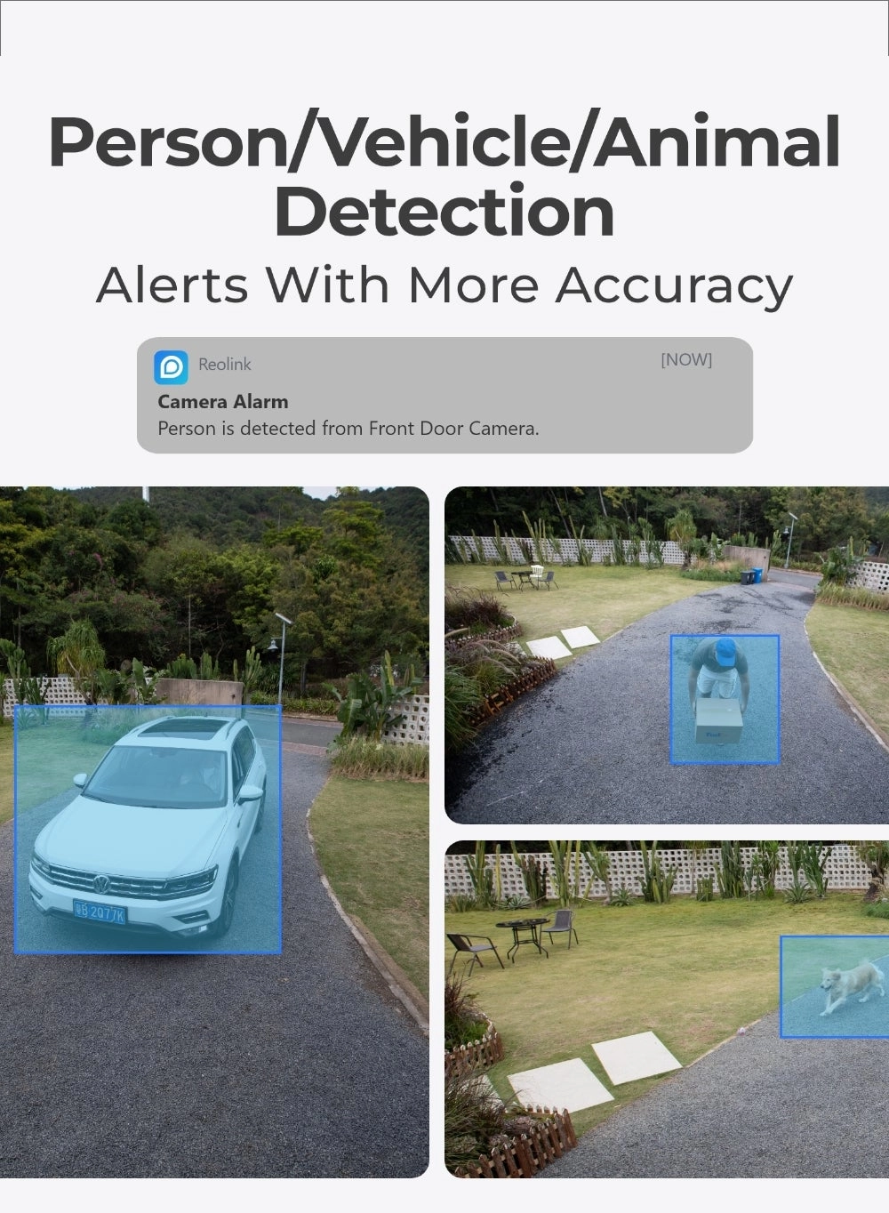 NVS8-5MB4 - 8 channels