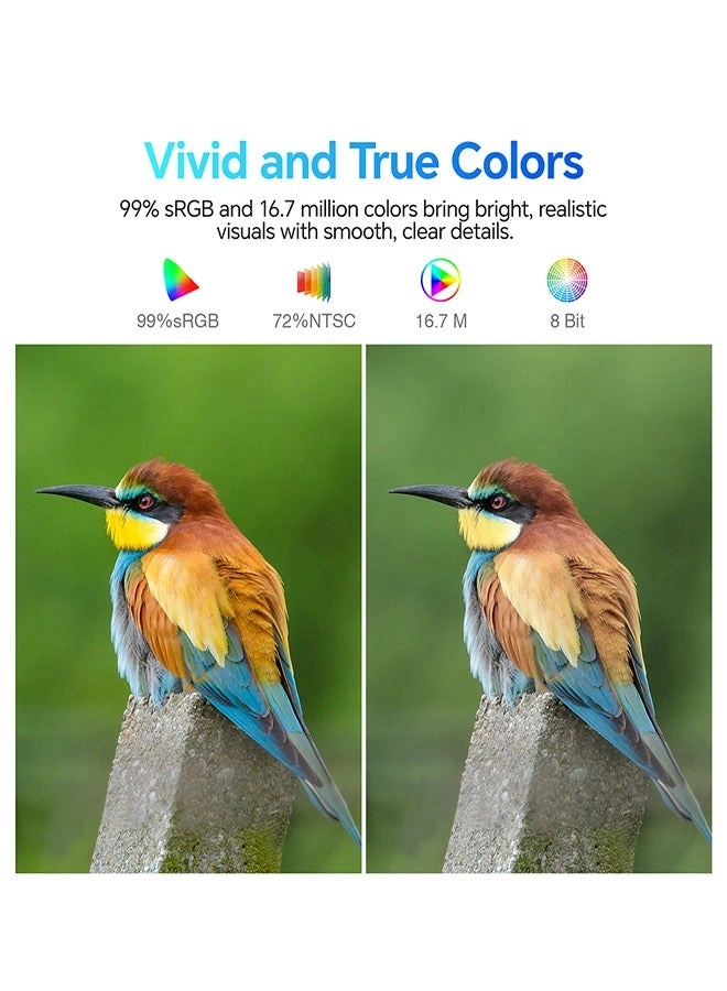 E2411H - 1920x1080 24"