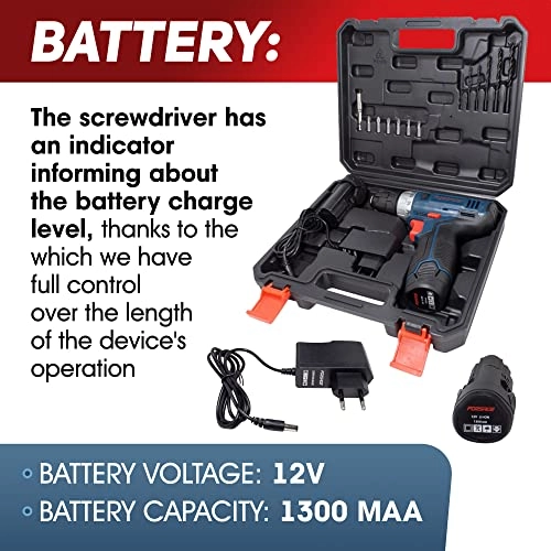 ROCKFOECE - 2 x 1300 mAh Li-Ion