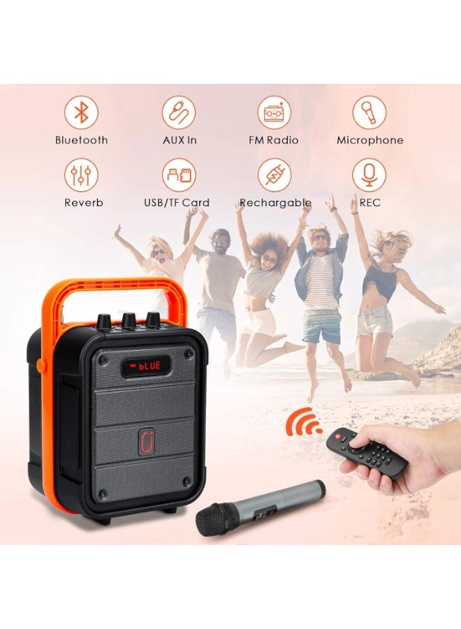 Karaoke machine - 2 wireless microphone