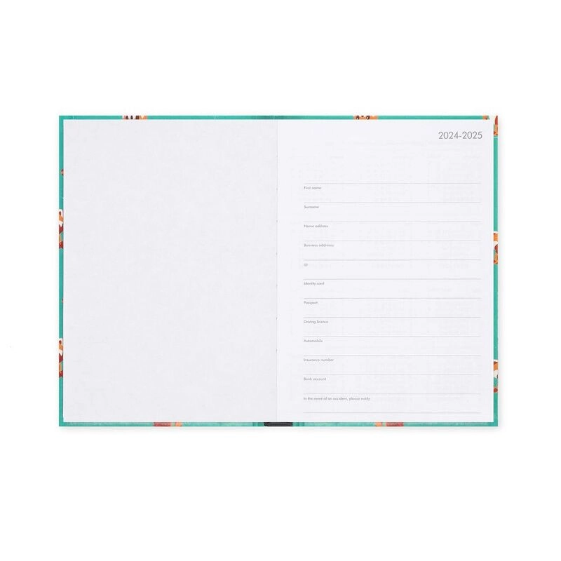 16-Month Daily Photo Diary - Medium