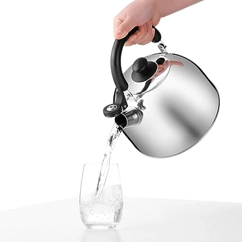 Stove Top Kettle - 3 Liter
