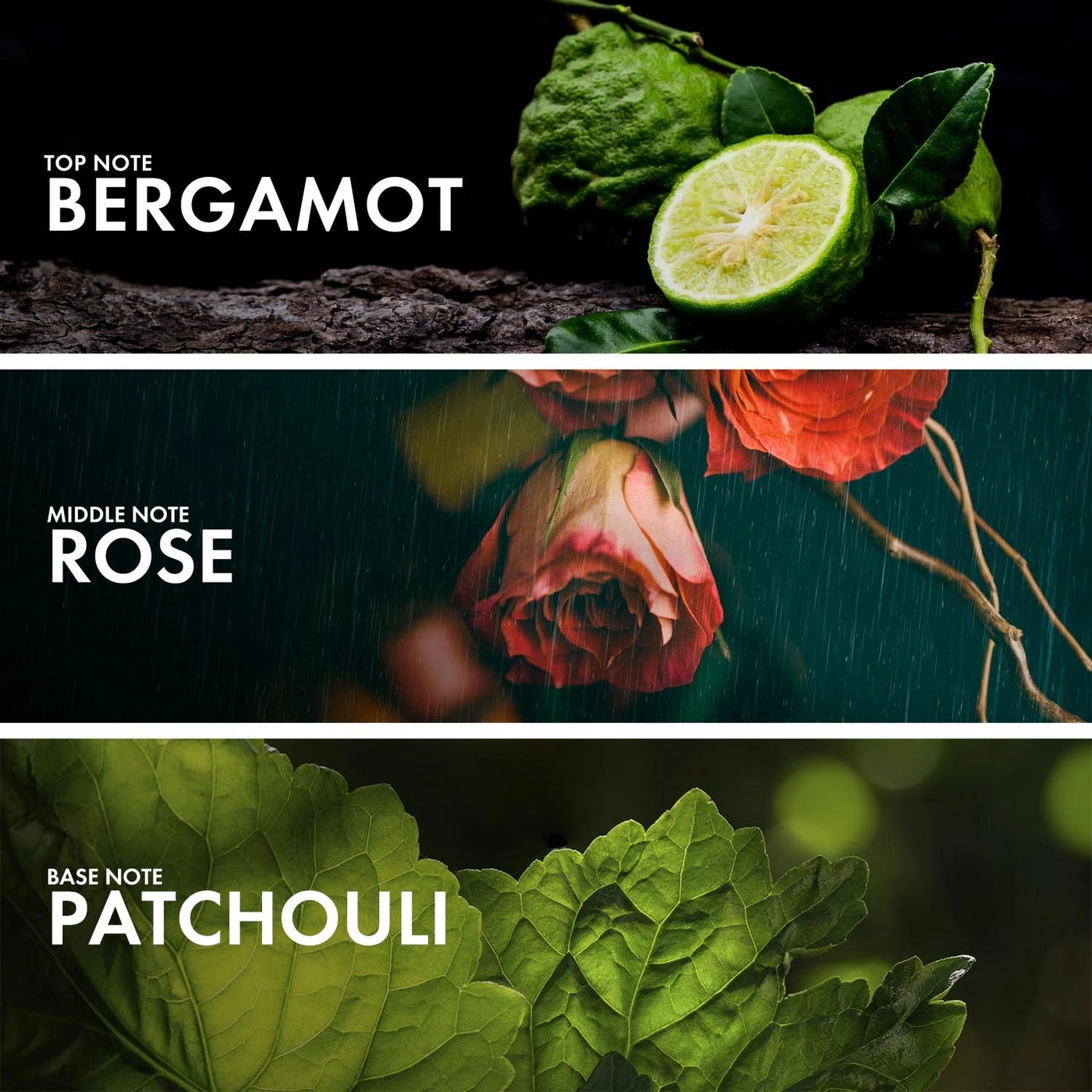 ROSE PATCHOULI Eau de Parfum 50ml
