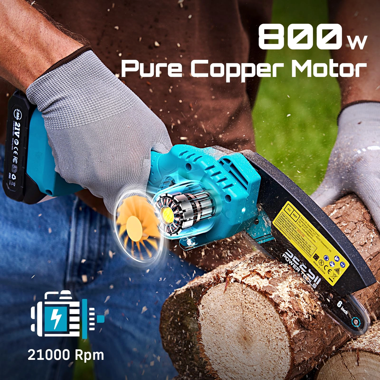 CH600+ - 900 watts