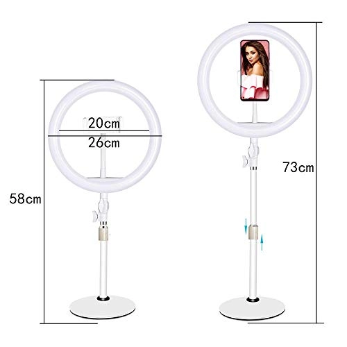 Ring Light - 19 Inch