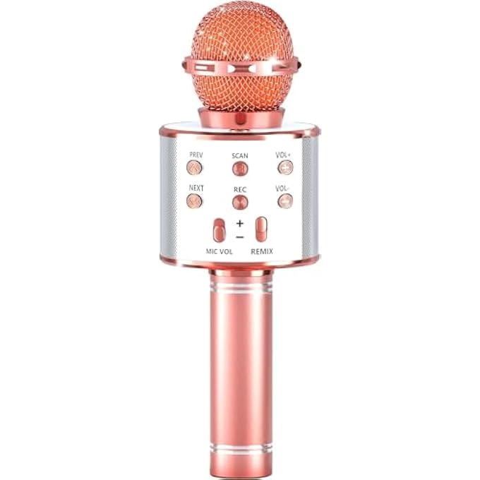 rayihni Girl Microphone - 6-8 years+